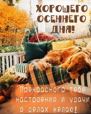 Картинка: Хорошего осеннего дня! Отличного настроения!