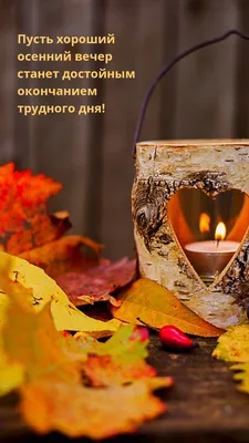 Чудесного осеннего вечера! | Осень, Открытки, Чашка чая