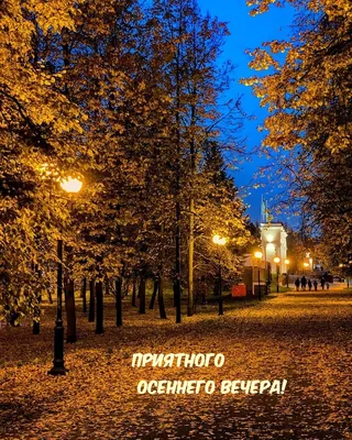 доброго осеннего вечера и приятных снов｜Поиск в TikTok