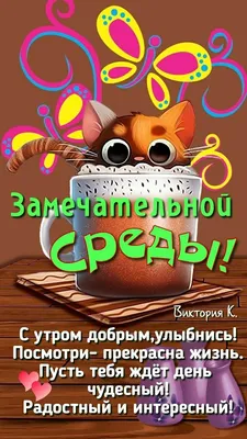 с добрым утром#котики#смешные котики#юмор приколы # | TikTok