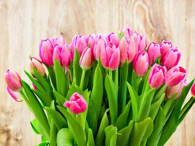 Прикольные поздравления с 8 марта с юмором - короткие и смешные поздравления  коллегам женщинам, подруге, супруге, матери и б… | Розовые тюльпаны,  Тюльпаны, Цветение