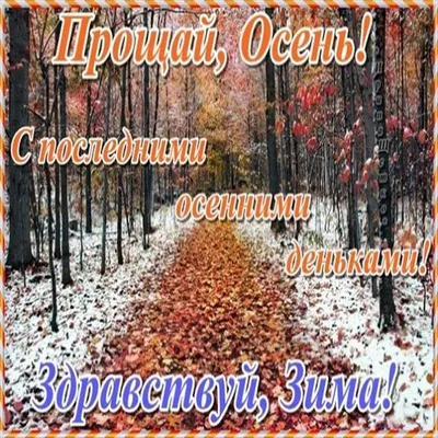 Гиф открытки с последним днем осени – Скачать бесплатно