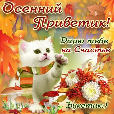 🍁❄️🍂🌲🍂❄️🍁 С последним днем Осени! | Открытки, Праздник, Праздничные  открытки