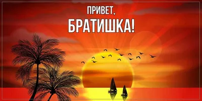 Привет братишка картинки