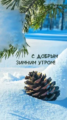 Картинки доброе утро зимние с природой и надписями (54 фото) » Картинки и  статусы про окружающий мир вокруг