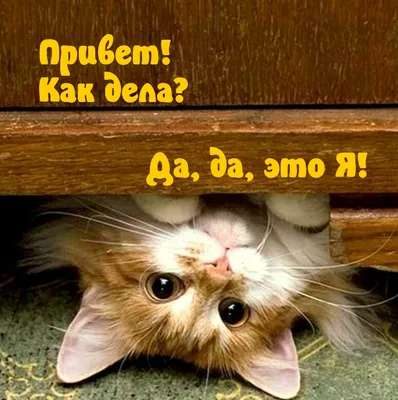 Ляскина Татьяна , Екатеринбург, отзывы — TenChat