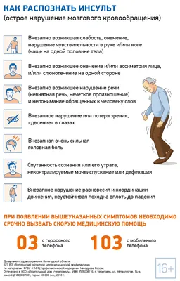 Профилактика инсультов на высоком уровне - ГКБ Кончаловского