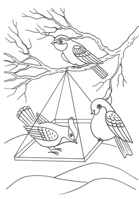 Зимующие птицы - Разукрашки - Страна Мам