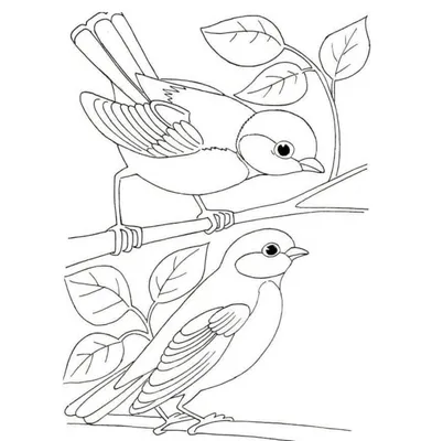 Раскраска зимующие птицы | Детские раскраски, распечатать, скачать