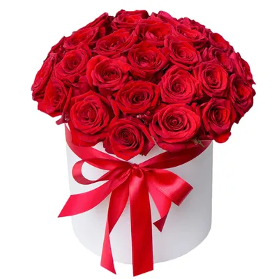 Artflower.kz | 45 красных роз в коробке Maison Des Fleurs - Купить с  доставкой в Алматы по лучшей цене