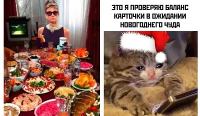 Юмор про Новый год! | Новый год, Самые смешные картинки, Животные