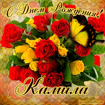 Картинка на День Рождения Камиле с букетом желтых и красных роз — скачать  бесплатно