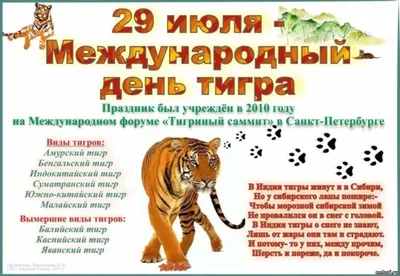 29 июля — Международный день тигра / Открытка дня / Журнал Calend.ru