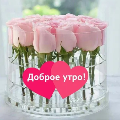 Доброе утро, красавица!☕️🍰💐благодарю за❤️🙏🙏🙏 | TikTok