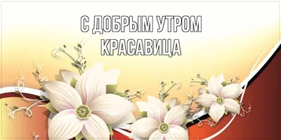 красавица с добрым утром｜TikTok Search