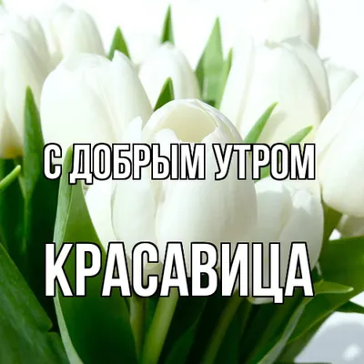 Открытка с именем Красавица С добрым утром. Открытки на каждый день с  именами и пожеланиями.