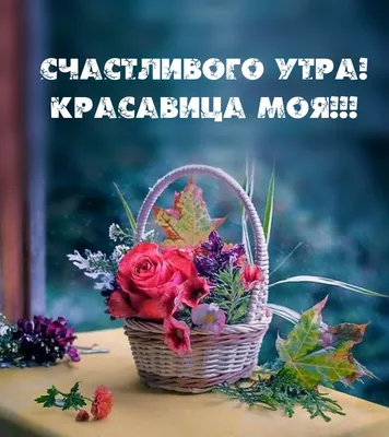 сдобрымутром#хорошегодня#позитиффчикдлятебя#осень#кофе#счастье#движен... |  TikTok