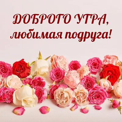 Доброе утро, Подружка моя! #подруге #дляподруги #длявас❤❤ #👋🤗😘💃⚘️... |  TikTok