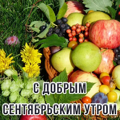 С Добрым Субботним Утром! 2 сентября. #утречко #видеопожеланиесдобрыму... |  TikTok