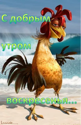 Открытки \"Доброго утра!\" зимой (500+)