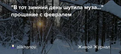 Поздравления с 23 февраля 2022 года: новые открытки и стихи ко Дню  защитника Отечества - sib.fm