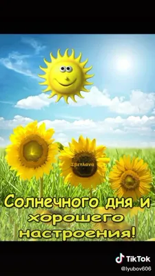 Картинка: С Летним солнечным утром! • Аудио от Путина, голосовые,  музыкальные