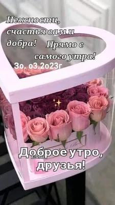 Чтобы день был счастливым, утро должно быть добрым...🌞 Доброго Вам утра ☕️  и Счастливого дня! | Instagram