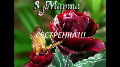 ПОЗДРАВЛЕНИЕ СЕСТРЁНКЕ С 8 МАРТА !!! | Сестренки, Праздничные цитаты, Март