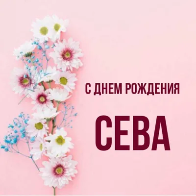 Открытка с днем рождения Сева (скачать бесплатно)