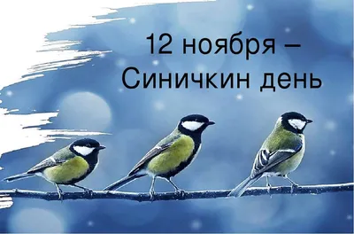 Экологический праздник “Синичкин день” – Южно-Уральский федеральный научный  центр минералогии и геоэкологии