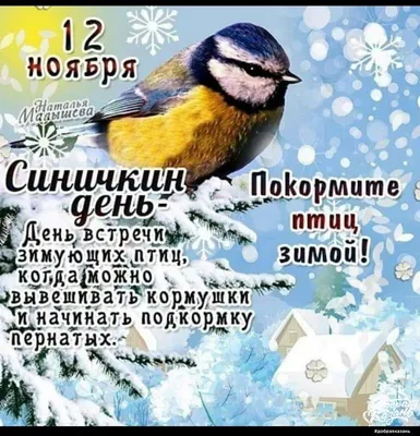 12 ноября - Синичкин день