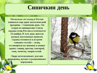 ЦЗЛ Владимирской области подвел итоги конкурса детских рисунков «Синичкин  день»