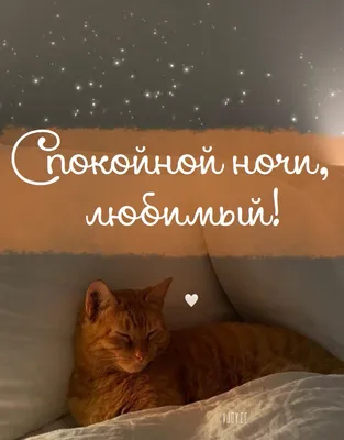 Мем: \"Сладких снов любимый Люблю тебя 💋💋💋\" - Все шаблоны -  Meme-arsenal.com