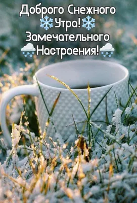 С добрым утром! ☕️- Смешные стихи с добрым утром- Ироничные стихи- Инна  Терехова ✿- ХОХМОДРОМ