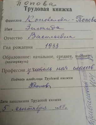 Добро пожаловать в Пиццалэнд! Как тебя зовут, путник? Ждем твое имя под  постиком 👇🏻 | ВКонтакте