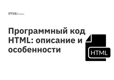 Базовые программы и IDE для новичков в программировании. Как создать  IT-стартап, сидя на кухне. | Войти в IT | Дзен