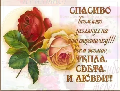 Открытка Спасибо, Цветы и подарки в Москве, купить по цене 60 RUB, Открытки  в Jess_eskimo с доставкой | Flowwow