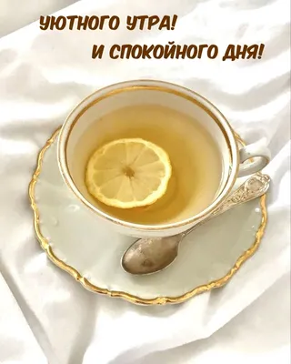 Домашний - Спокойного дня каждому🥰 | Facebook