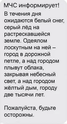 Умер артист Сергей Григорьев, озвучивавший щенка Филю в передаче «Спокойной  ночи малыши!» | 12 канал