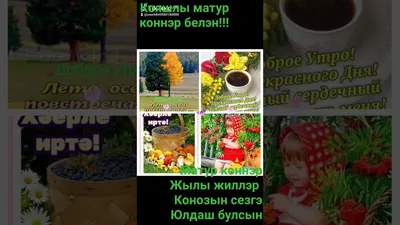 Х?ерле иртэ на татарском картинки новые (Много фото) - artshots.ru
