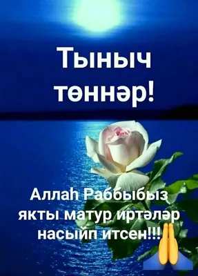 стикеры татарские тыныч йокы｜Поиск в TikTok