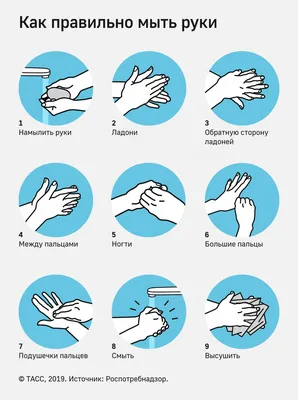 Инструкция и правила мытья рук в общепите по санпину