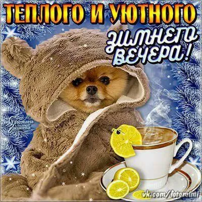 ⛄ Картинки зимнего вечера 🌛 - Доброго приятного вечера! гифки -💃 Гифы:  Хорошего вечера, приятного общения!