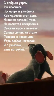 FARIDA - С добрым утром!!! Всем хорошей недели!!! #казань | Facebook