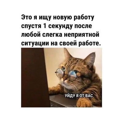 Как живет менеджер и риелтор в Санкт-Петербурге с доходом 120 000 ₽