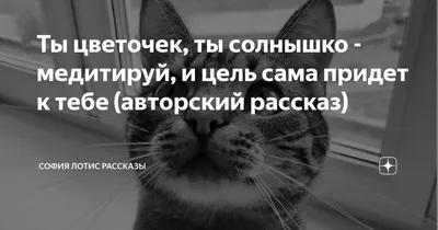 Картинки с надписью ты солнышко (45 фото) » Юмор, позитив и много смешных  картинок