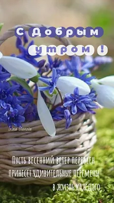 Доброе утро красивые открытки картинки утренние сообщения пожелания  инстаграм сторис | Открытки, Утренние сообщения, Доброе утро