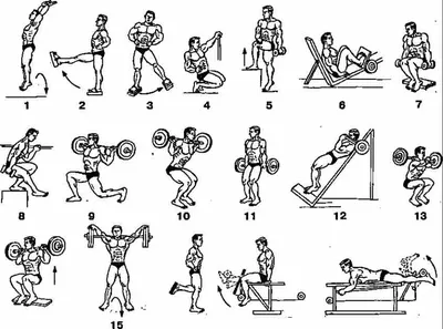 [78+] Упражнения в тренажерном зале для мужчин в картинках обои