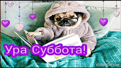 ура суббота доброе утро｜TikTok Search