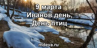 Дайджест главных новостей на утро 9 марта 2023 года